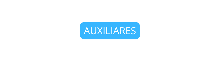 AUXILIARES